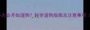 拉布拉多幼犬多大会开始遛狗科学遛狗指南及注意事项附训练技巧