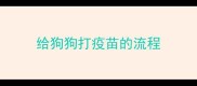 给狗狗打疫苗的流程