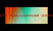 边境牧羊犬性别差异全母边牧vs公边牧对比指南含饲养要点与领养建议