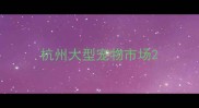 杭州大型宠物市场