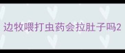 边牧喂打虫药会拉肚子吗