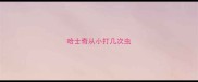 哈士奇从小打几次虫
