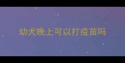 幼犬晚上可以打疫苗吗