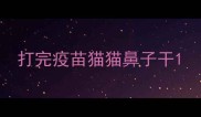 打完疫苗猫猫鼻子干
