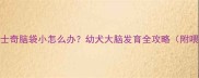 5个月哈士奇脑袋小怎么办幼犬大脑发育全攻略附喂养误区