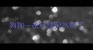 狗狗一条后腿突然瘸了
