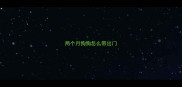 两个月狗狗怎么带出门
