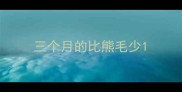 三个月的比熊毛少