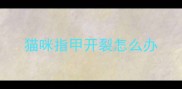 猫咪指甲开裂怎么办