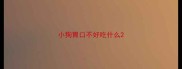 小狗胃口不好吃什么