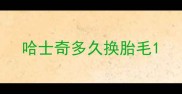 哈士奇多久换胎毛