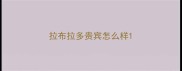 拉布拉多贵宾怎么样