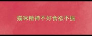 猫咪精神不好食欲不振