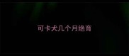 可卡犬几个月绝育