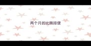 两个月的比熊排便