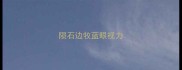 陨石边牧蓝眼视力