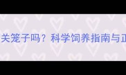 边牧犬能关笼子吗科学饲养指南与正确方法