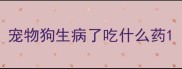 宠物狗生病了吃什么药