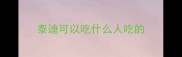 泰迪可以吃什么人吃的