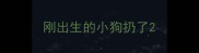 刚出生的小狗扔了