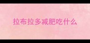 拉布拉多减肥吃什么