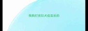 狗狗打完狂犬疫苗后的