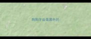狗狗牙齿是黑色的
