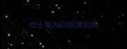 哈士奇大白熊混血狗