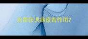 犬用狂犬病疫苗作用