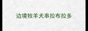 边境牧羊犬串拉布拉多
