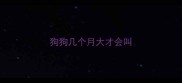 狗狗几个月大才会叫
