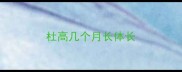 杜高几个月长体长