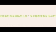 狗狗打完疫苗后耳朵塌陷怎么办专业兽医疫苗反应与护理指南
