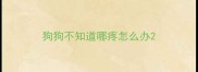 狗狗不知道哪疼怎么办