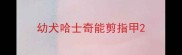 幼犬哈士奇能剪指甲