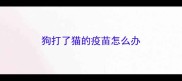 狗打了猫的疫苗怎么办