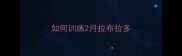 如何训练2月拉布拉多