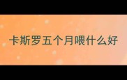 卡斯罗五个月喂什么好