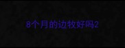 8个月的边牧好吗