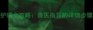 边牧肛门腺护理全攻略兽医指导的详细步骤与注意事项