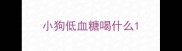 小狗低血糖喝什么
