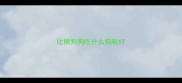比熊狗狗吃什么狗粮好