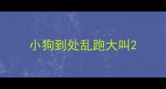 小狗到处乱跑大叫
