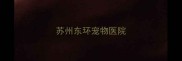 苏州东环宠物医院