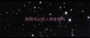 狗狗可以吃人类食物吗
