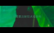 人需要注射狂犬疫苗吗