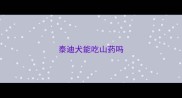 泰迪犬能吃山药吗