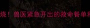 2个月大幼犬拒食3天不退烧兽医紧急开出的救命餐单和护理指南附真实案例