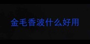 金毛香波什么好用