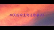 40天的哈士奇注意事项